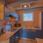 Wildgans Classic 25 度假居 雷希林